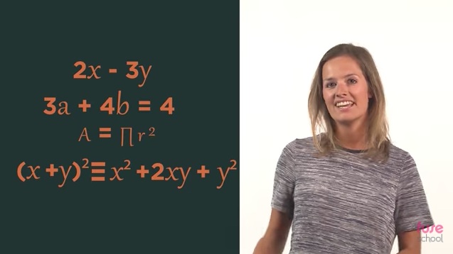 Expressions, Equations, Formulae and Identities Instructional Video