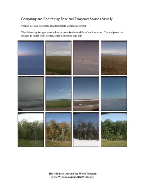 Comparing and Contrasting Polar and Temperate Seasons Visually Worksheet