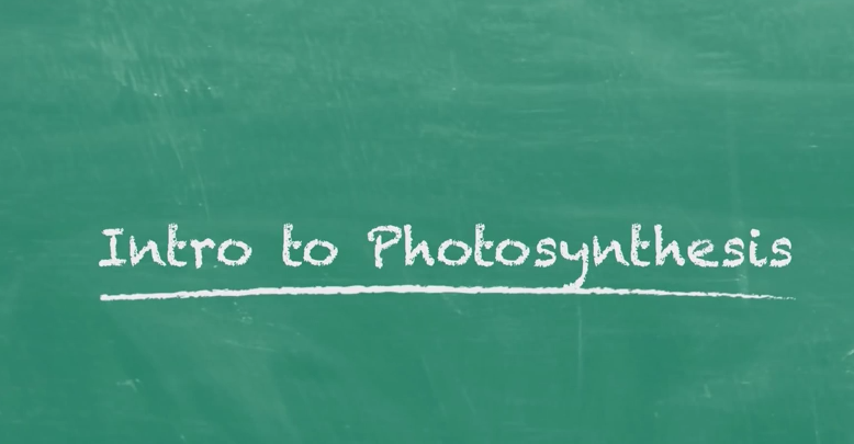 Introduction to Photosynthesis Instructional Video