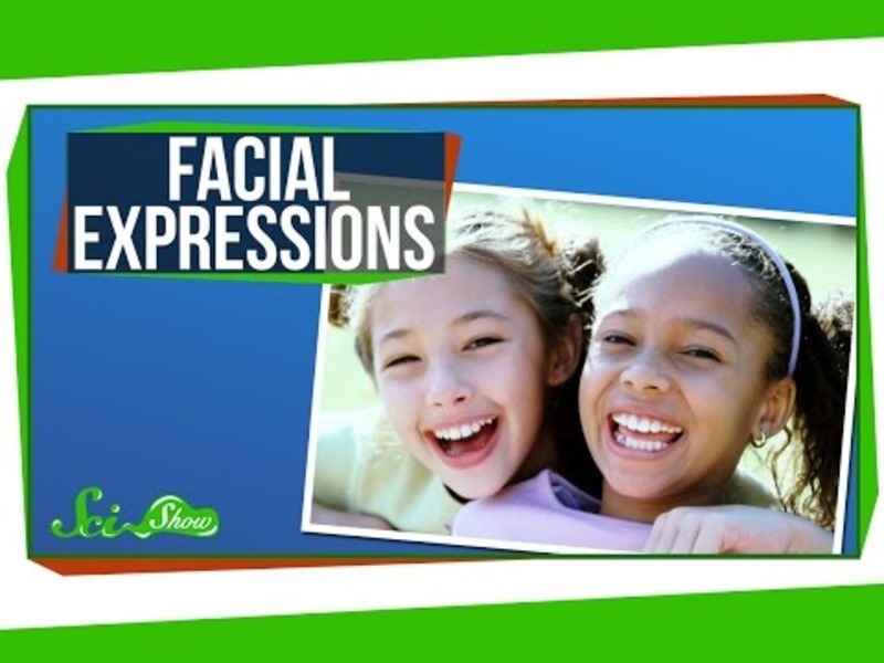 Where Do Our Facial Expressions Come From? Instructional Video