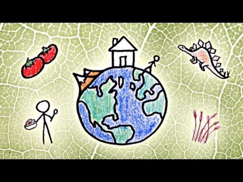 MinuteEarth: The Story of Our Planet Instructional Video