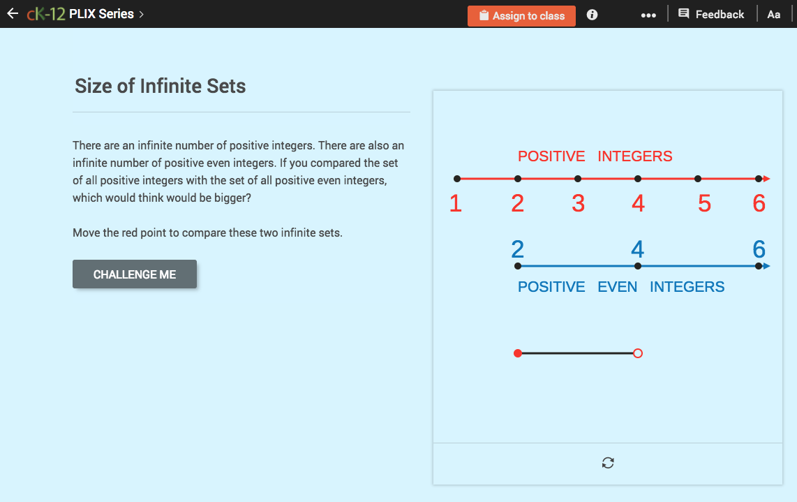 The Real Numbers: Size of Infinite Sets Interactive