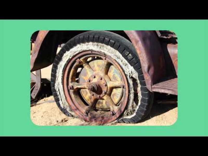 Observations and Inferences Instructional Video