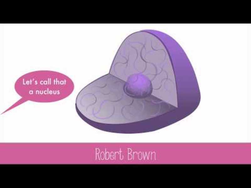 Cell History Instructional Video