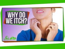 Why Do We Itch? Instructional Video