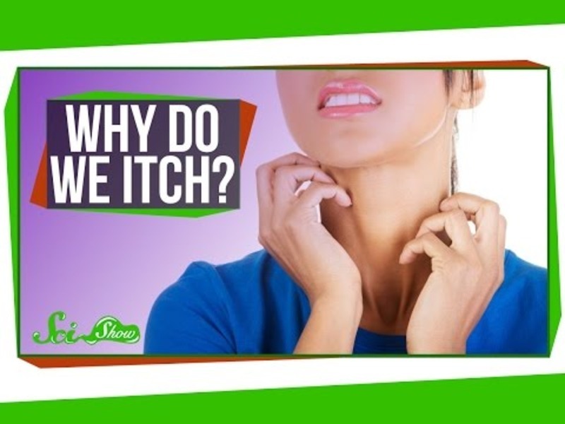 Why Do We Itch? Instructional Video
