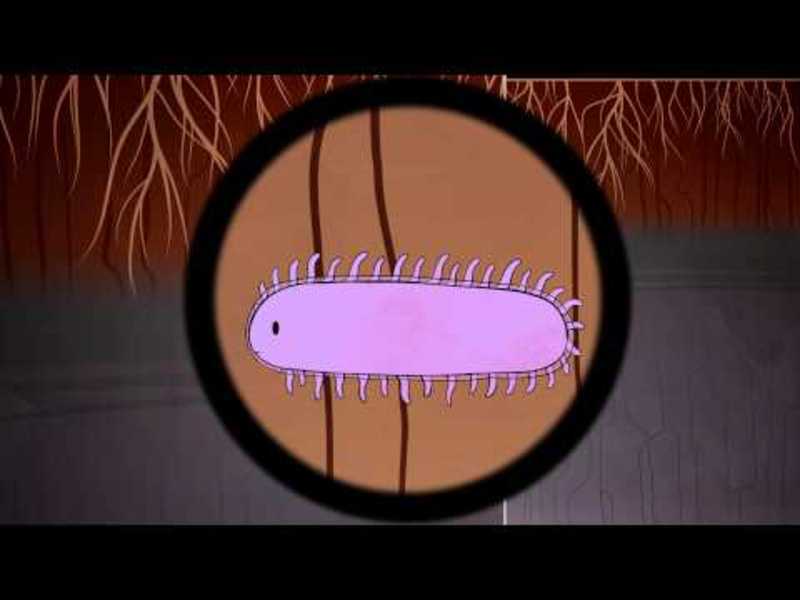 The Hidden Perils of Permafrost Instructional Video