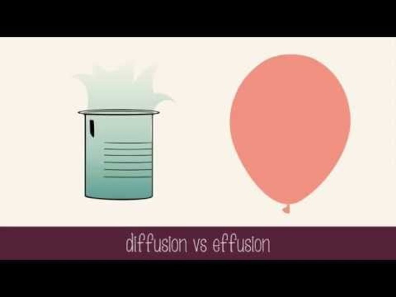 Gas Mixtures and Movements Instructional Video