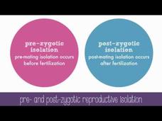 Speciation Instructional Video