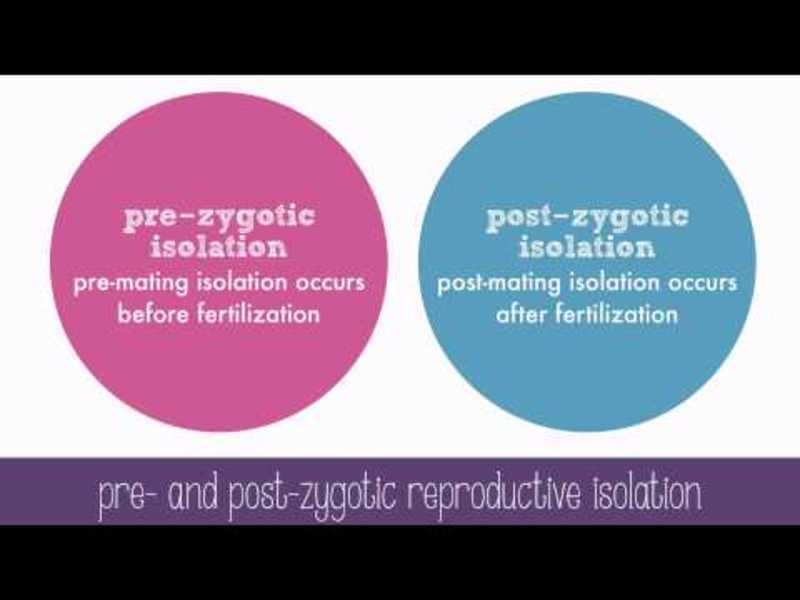 Speciation Instructional Video