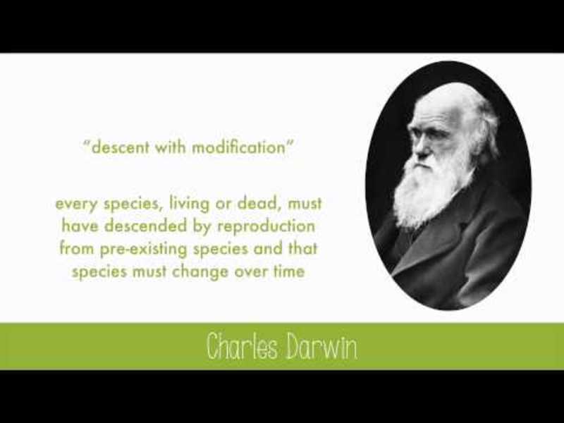 History of Evolutionary Thought Instructional Video