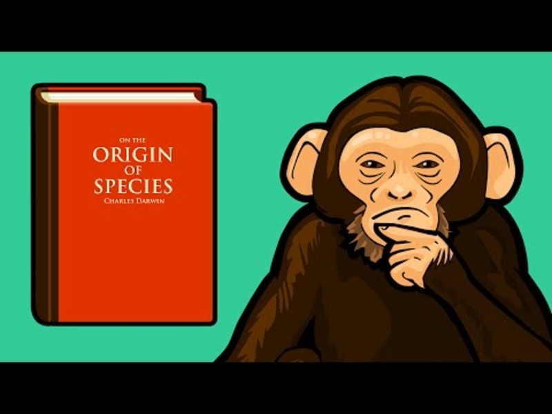 Does the Theory of Evolution Really Matter? Instructional Video