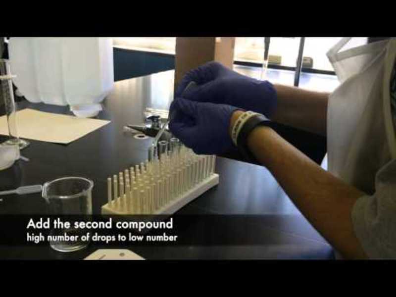 Formula of an Ionic Compound lab Instructional Video