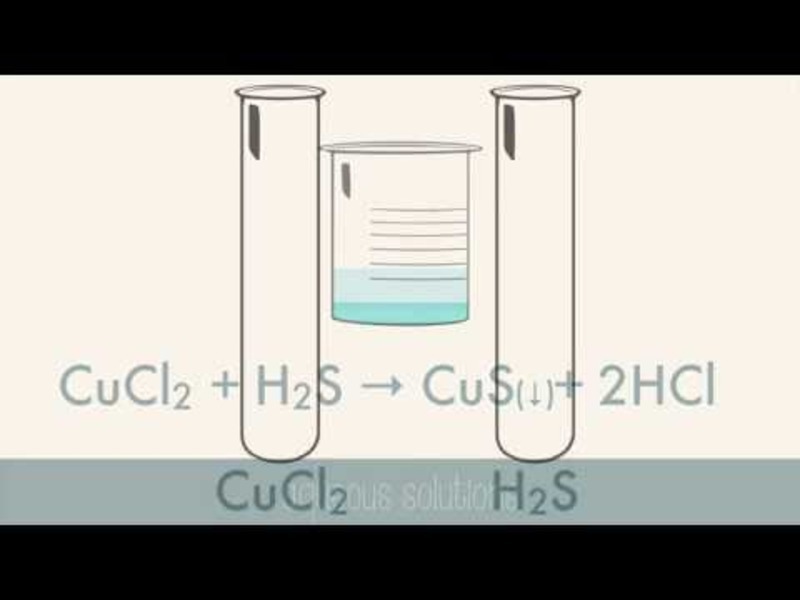 Reactions in Aqueous Solutions Instructional Video