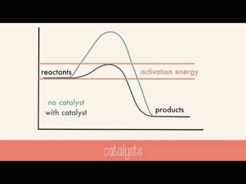 Factors Affecting Reaction Rates Instructional Video