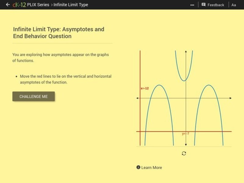 Infinite Limit Type: Asymptotes and End Behavior Question Interactive
