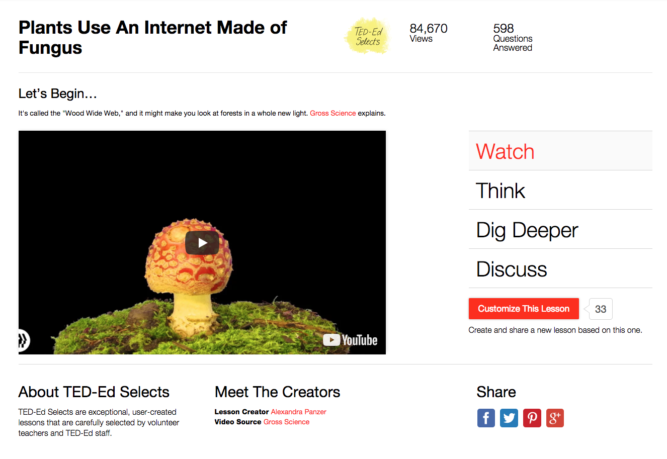 Plants Use An Internet Made of Fungus Instructional Video