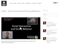 LS2D - Social Interactions and Group Behavior Instructional Video