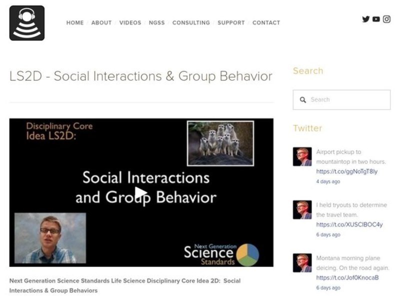 LS2D - Social Interactions and Group Behavior Instructional Video