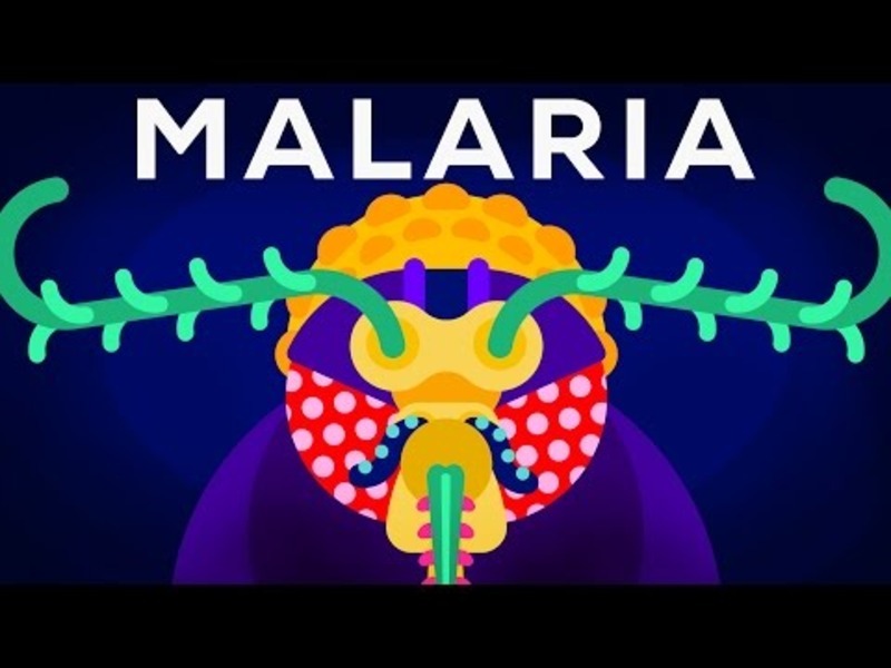 Genetic Engineering and Diseases—Gene Drive and Malaria Instructional Video