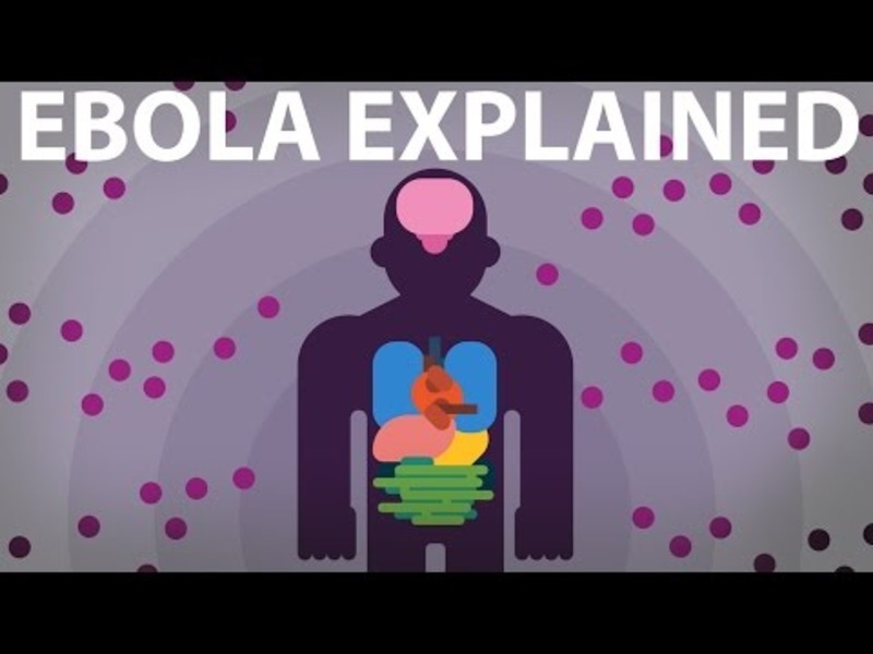 The Ebola Virus Explained—How Your Body Fights For Survival Instructional Video