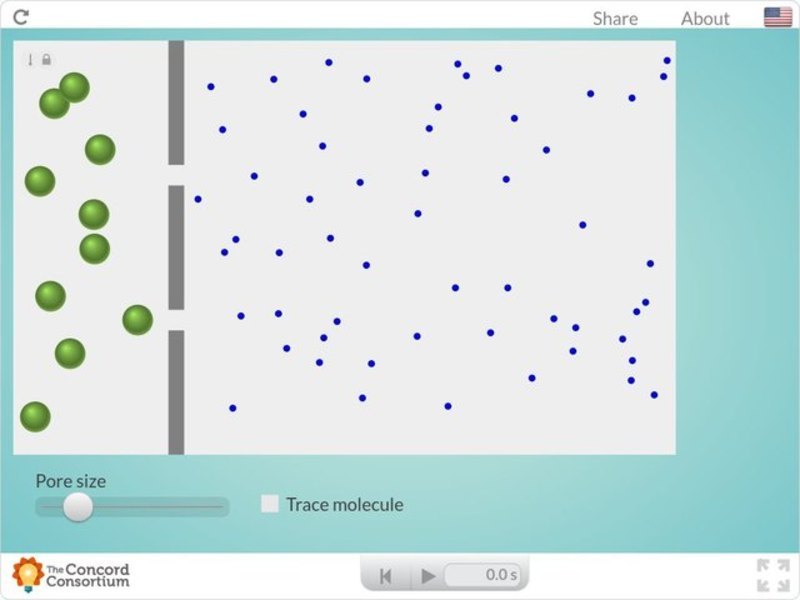 Diffusion Across a Semipermeable Membrane Interactive