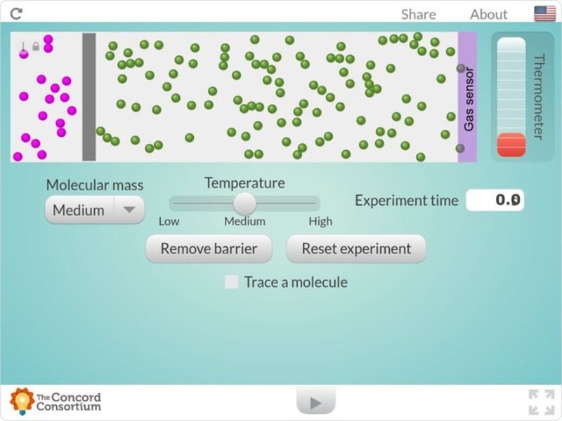 DIffusion and Molecular Mass Interactive