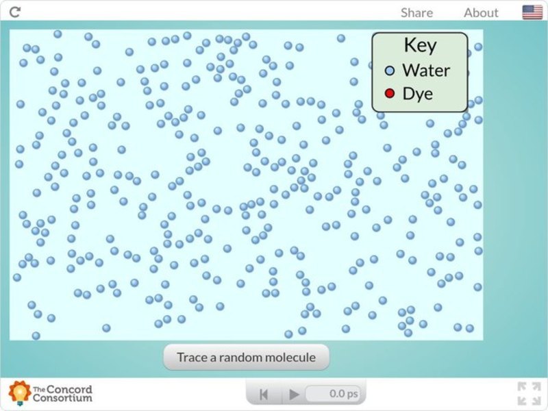 Diffusion of a Drop Interactive