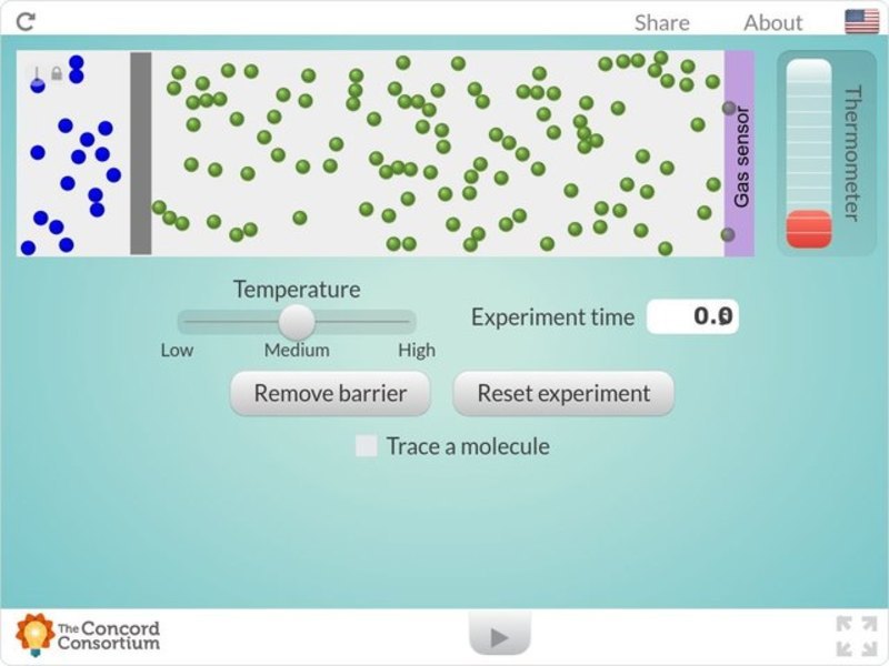 Diffusion and Temperature Interactive
