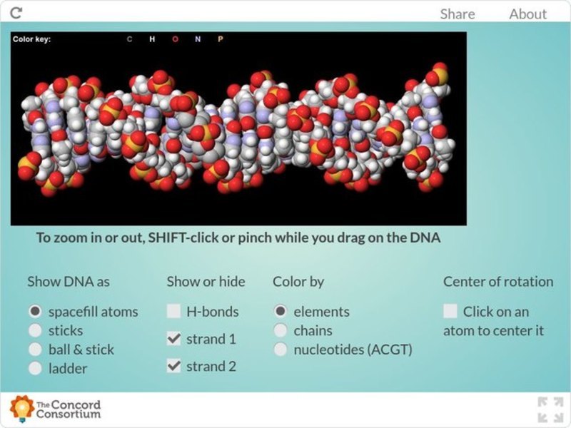 DNA: The Double Helix Interactive
