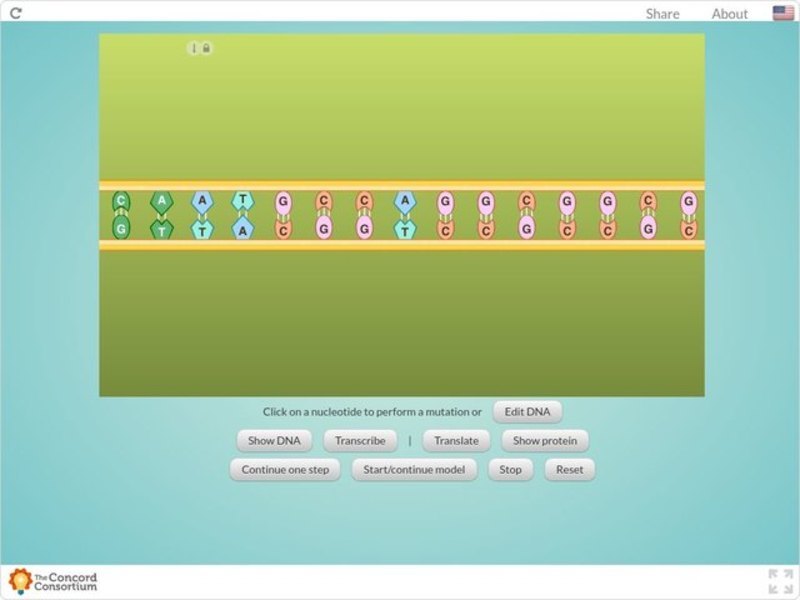 Mutations Interactive