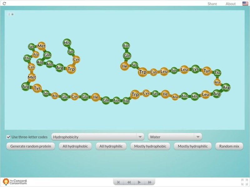 Protein Folding Interactive
