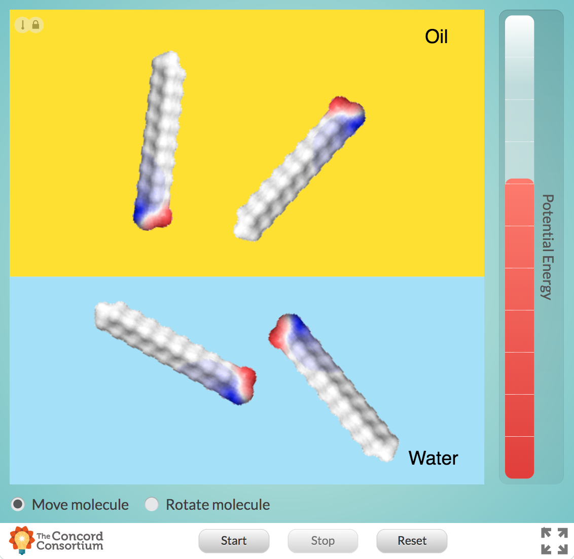 Polar and Non-Polar Interface Interactive