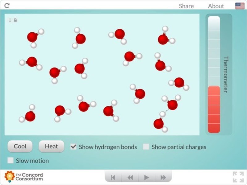 Hydrogen Bonds: A Special Type of Attraction Interactive