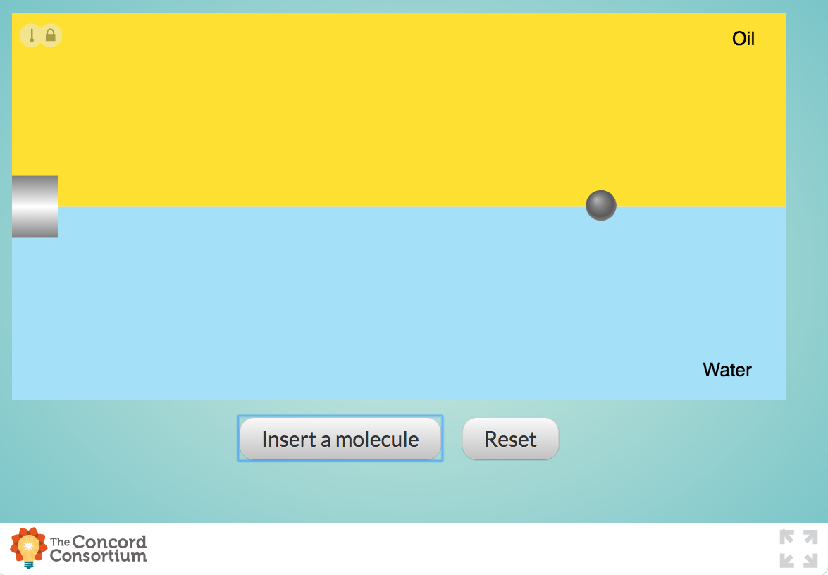 Molecular Sorting Interactive