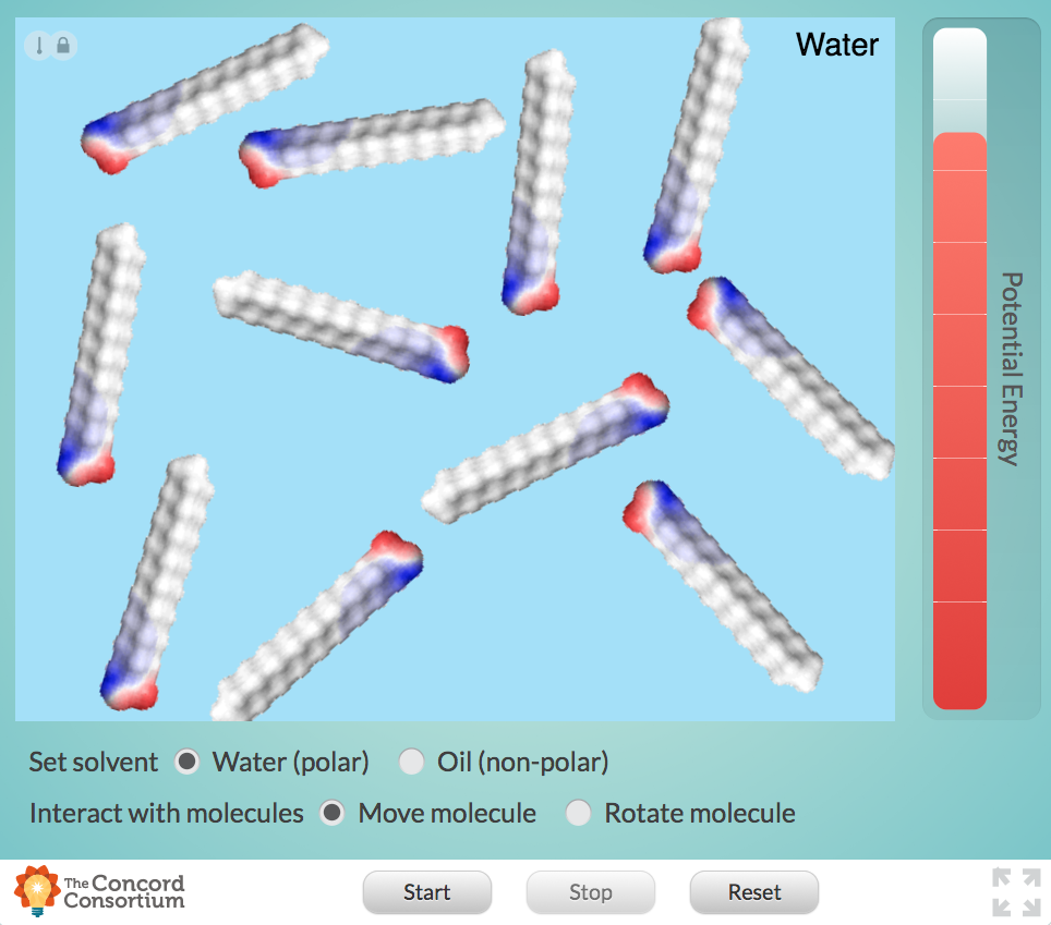 Micelles Interactive