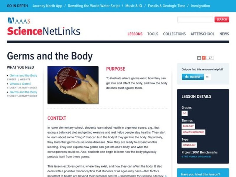 Germs and the Body Lesson Plan