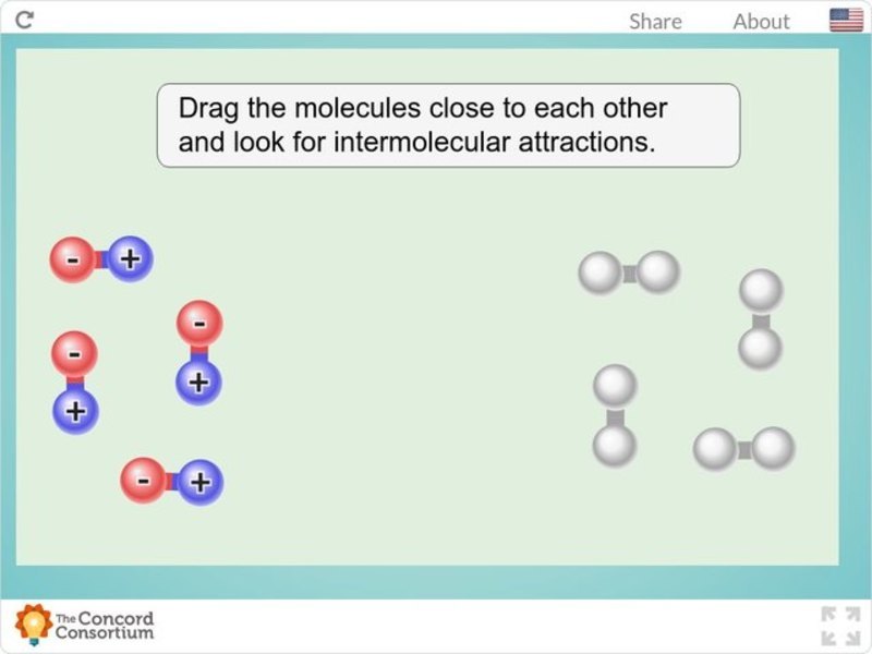 Seeing Intermolecular Attractions Interactive