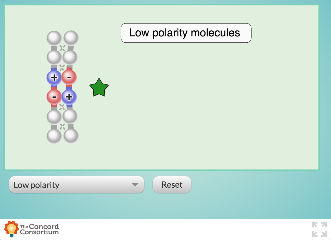 Polarity and Attractive Strength Interactive