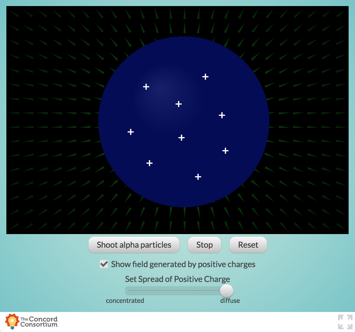 Concentrating Charge and Electric Fields Interactive