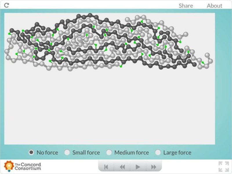 Tire Forces Interactive