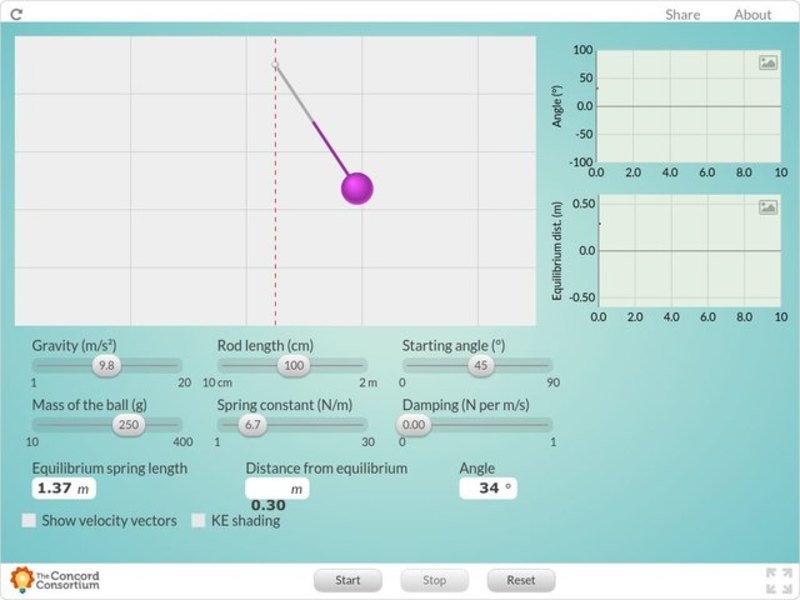 Pendulum and Spring Interactive