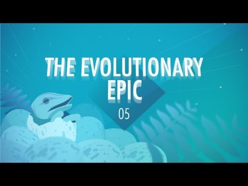 The Evolutionary Epic: Crash Course Big History #5 Instructional Video