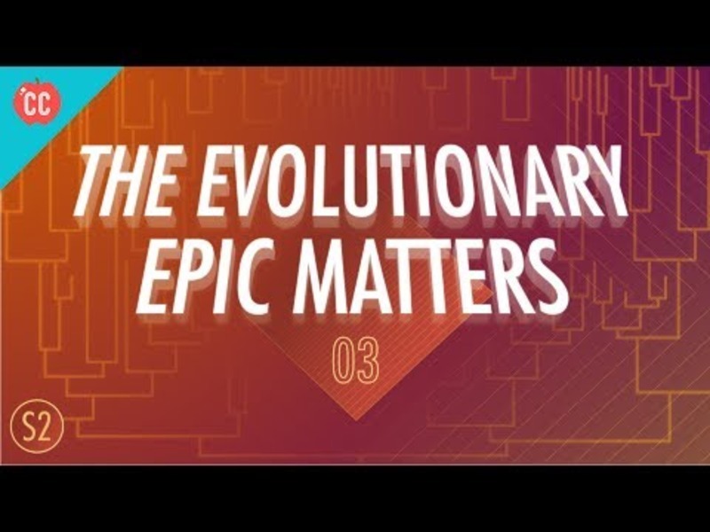 Why the Evolutionary Epic Matters: Crash Course Big History #203 Instructional Video