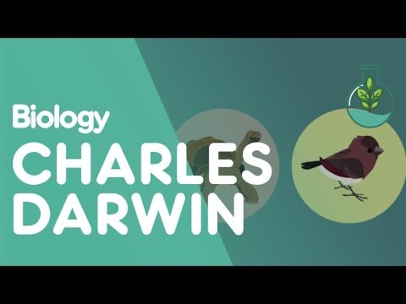 Charles Darwin's Observations Instructional Video