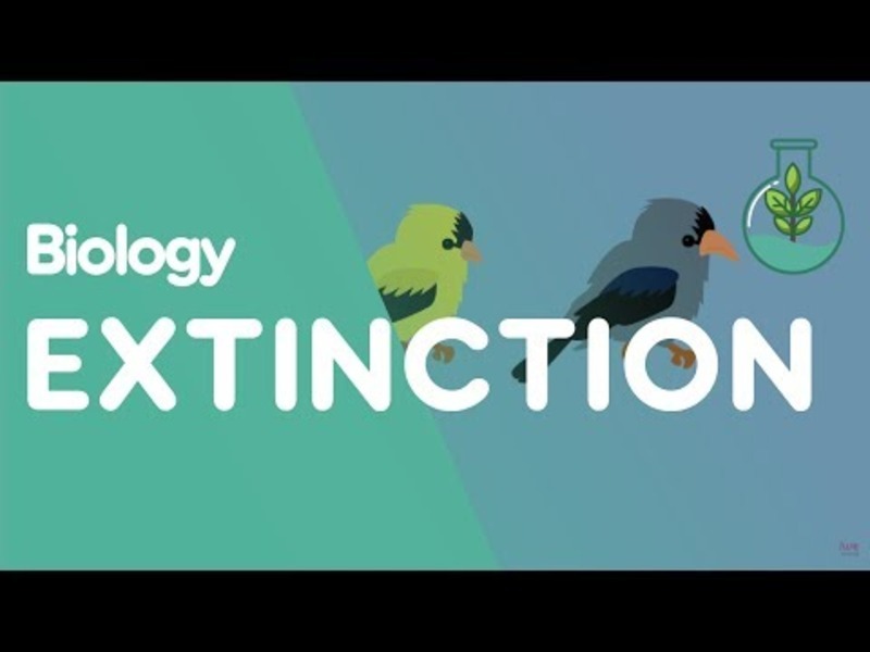 Extinction of Species Instructional Video