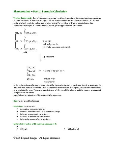 Shampoozled—Part 1: Formula Calculation Lesson Plan