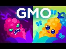 Are GMOs Good or Bad? Genetic Engineering and Our Food Instructional Video