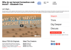 Why Do We Harvest Horseshoe Crab Blood? Instructional Video