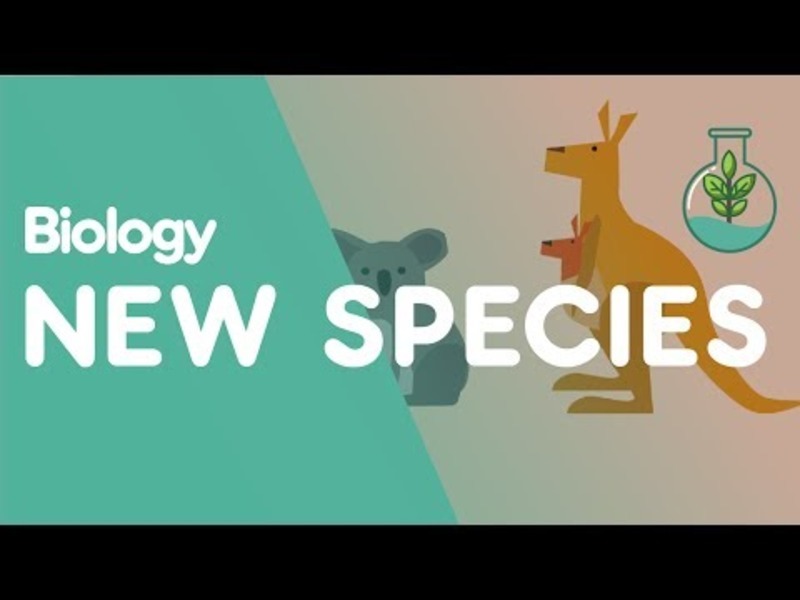 Formation of New Species by Speciation Instructional Video